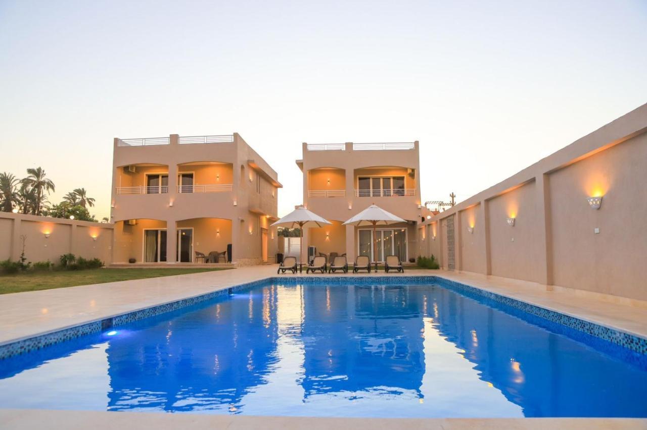 Royal Nile - Pool View 2
