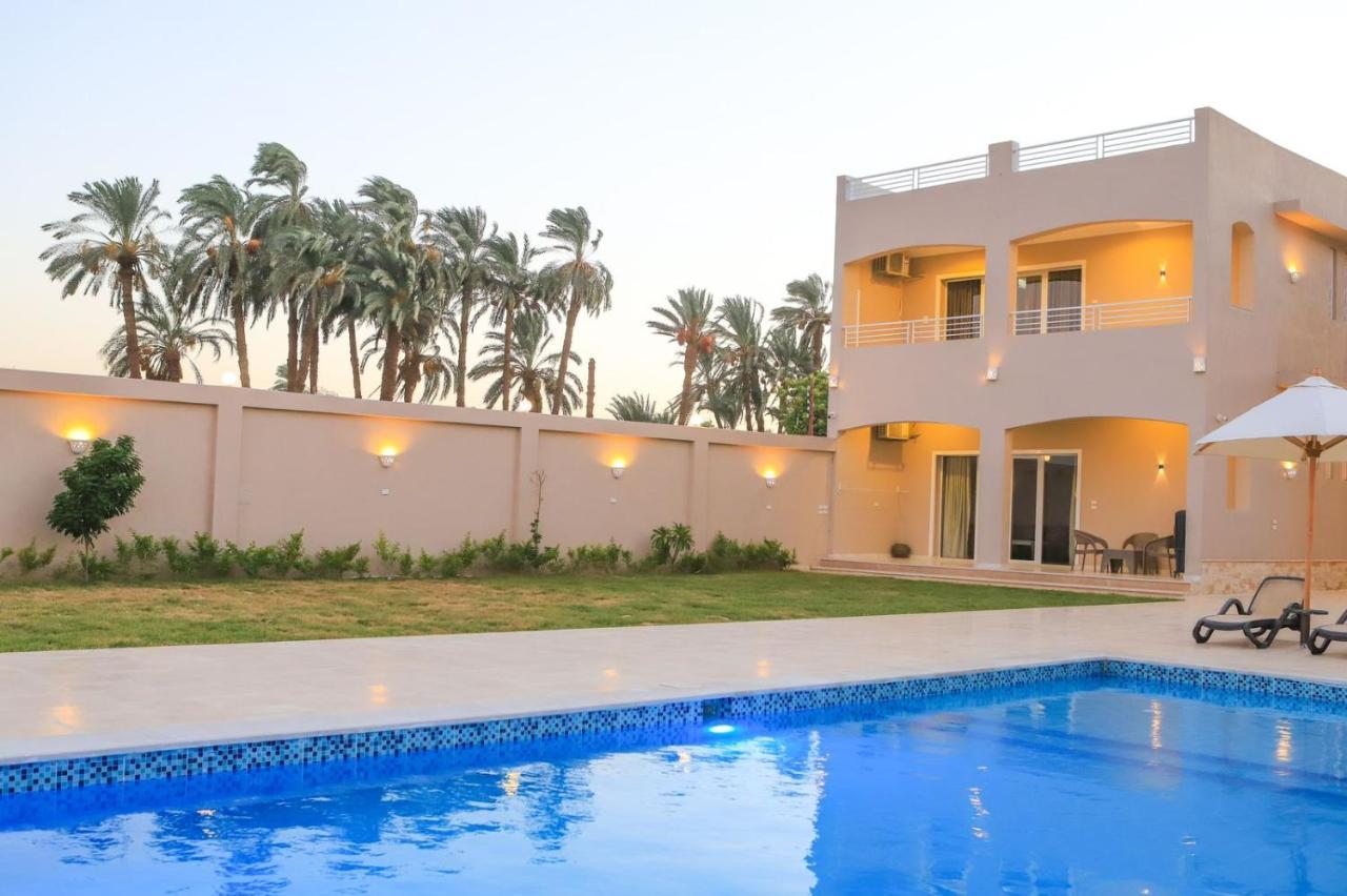 Apartman Royal Nile - Pool View 2
