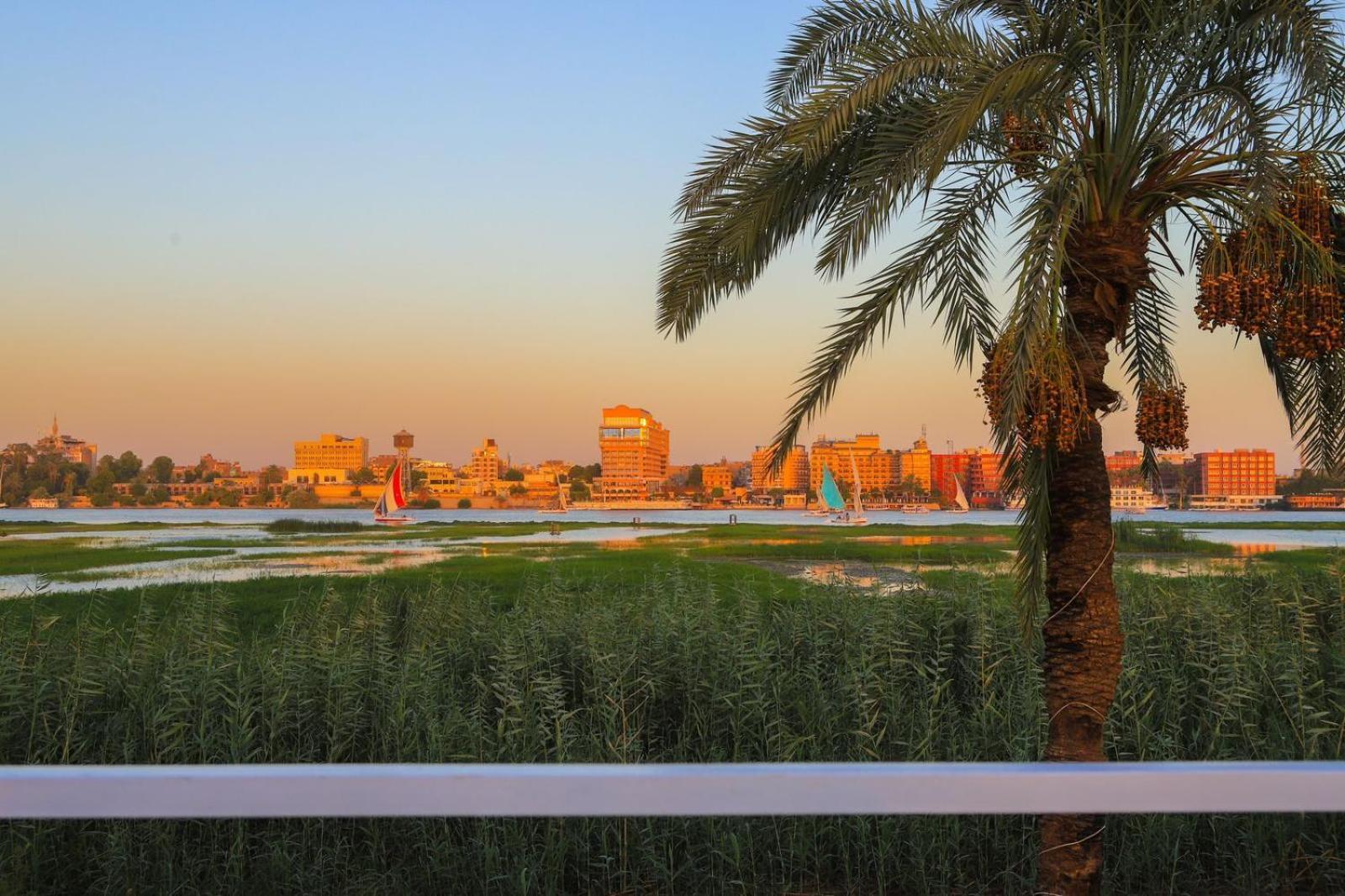 Royal Nile - Pool View 2 *